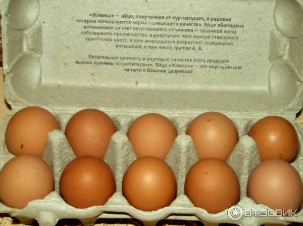 Диета Курица И Яйца Отзывы