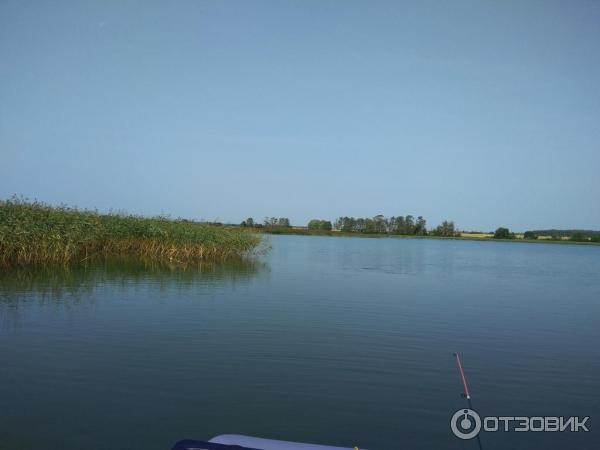 Отзыв о Озеро Яновичское (Беларусь, Витебская область)
