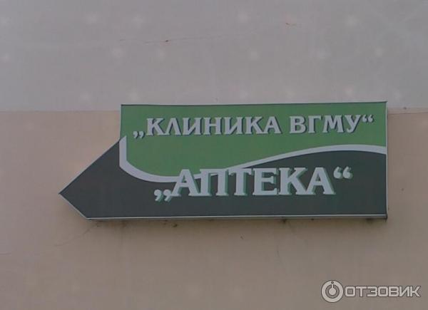 Адрес клиника вгму витебск