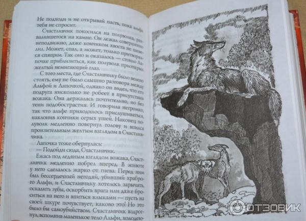 Отзыв о Книга Хроники Стаи - Эрин Хантер | Книги о приключениях собак!