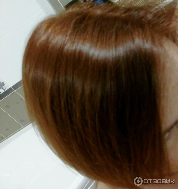 Expert schwarzkopf dunkelblond color HAIR COLOR