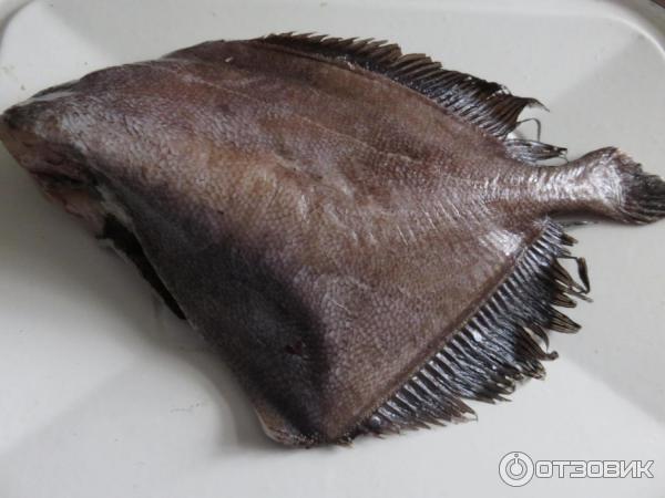 Рыба дори жареная - пошаговый рецепт с фото на жк-вершина-сайт.рф