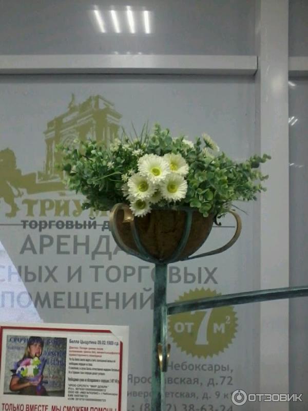 Магазин Цветы Торг Чебоксары