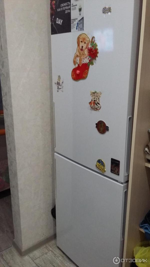 Ariston hf холодильник. Hf4200w Аристон холодильник. Холодильник Хотпоинт Аристон hf4200w. Hotpoint HF 4200 W. Ariston 4200 w.
