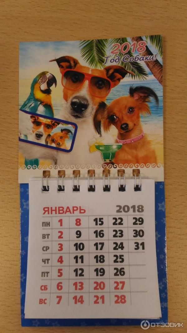 Календарик маленький 2024. Календарик отрывной. Отрывной мини календарь. Мини календари с животными. Календарикмини заметки.