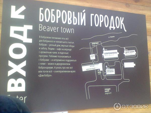 карта бобрового городка