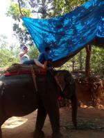 Экскурсия на самый красивый водопад в Гоа и катание на слонах