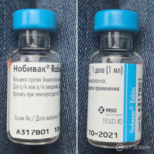 Прививка от бешенства вакцина. Нобивак Rabies. Нобивак рабиес b002b06. Nobivac Rabies (Нобивак рабиес). Рабиес вакцина для собак.