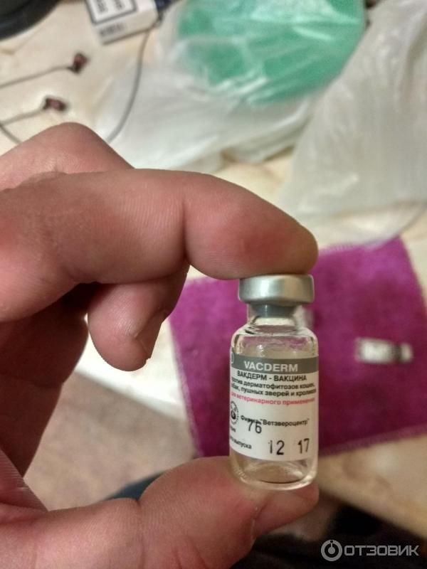 Как проводится вакцинация с помощью Вакдерм