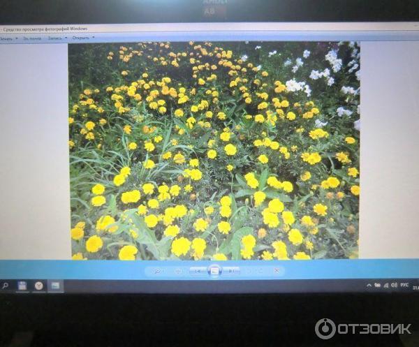 Ноутбук Lenovo IdeaPad 110-15ACL фото