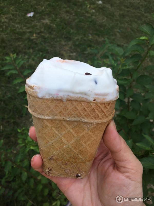 Стаканчик мороженого грамм