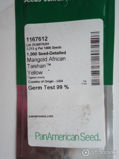 pan american seeds семена купить