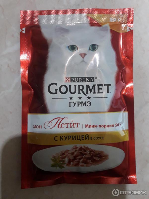 Jarvi корм для кошек купить. Кошачий корм в пакетиках жидкий. Пакетики для котов. Кошачий корм влажный в пакетиках. Гурме для кошек в пакетиках.