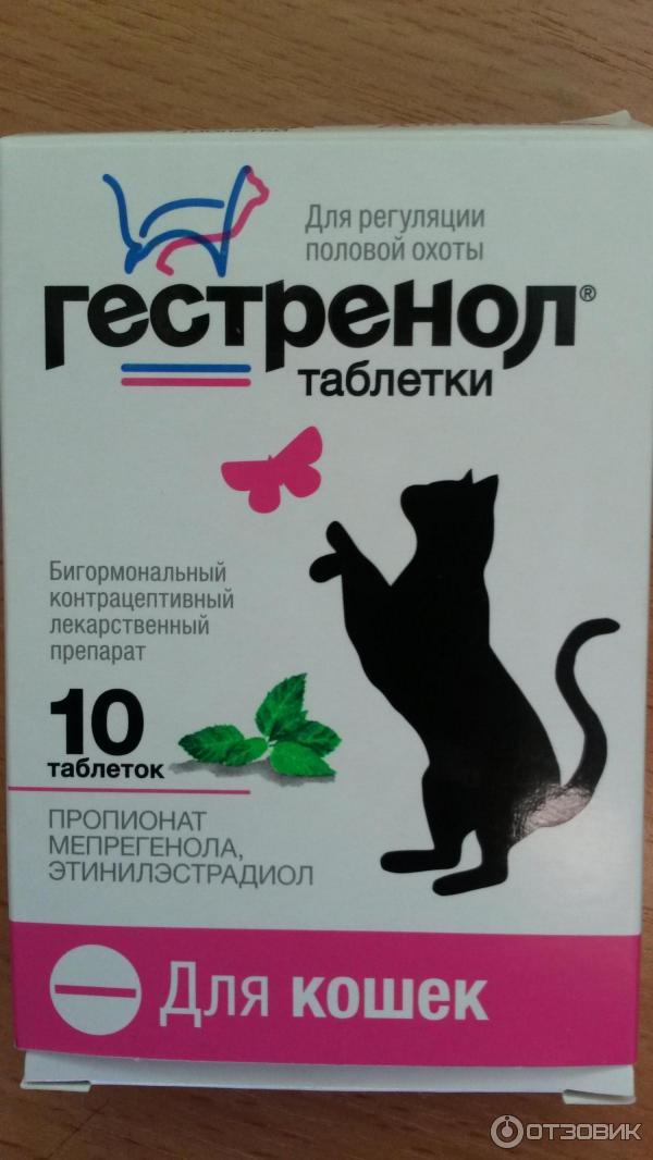 Отрава для собак в аптеке. Таблетки для котов отрава. Таблетки для отравления кошек. Препараты для отравления собак. Препараты от отравления для кошек.