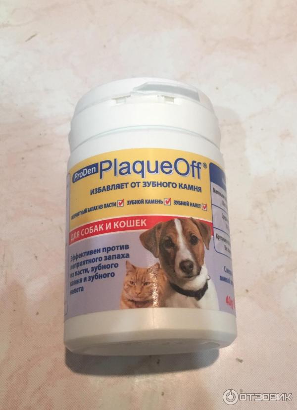 Отзыв о Средство для профилактики зубного камня у собак и кошек ProDen  PlaqueOff | Замечательное профилактическое средство!