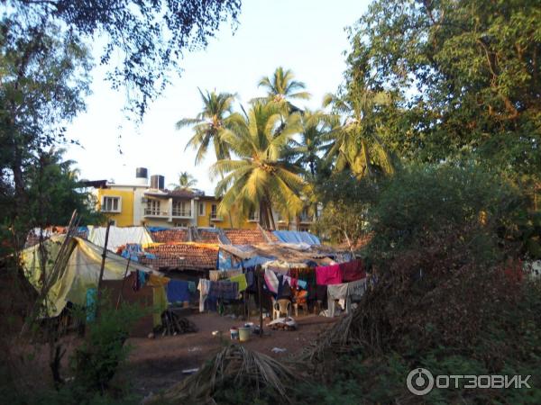 Экскурсия по г. Калангут (Индия, Гоа) фото