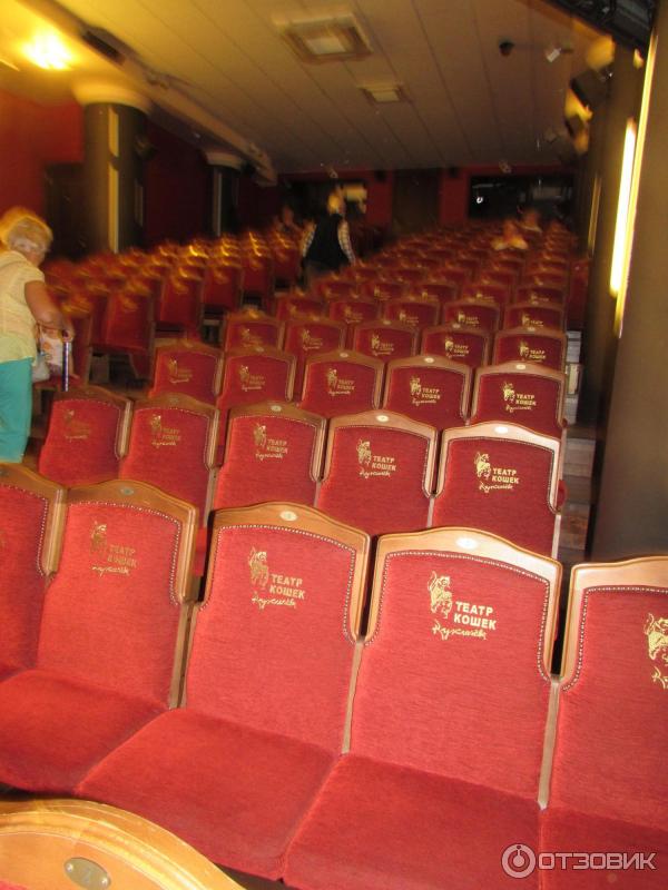 Театр кошек зал
