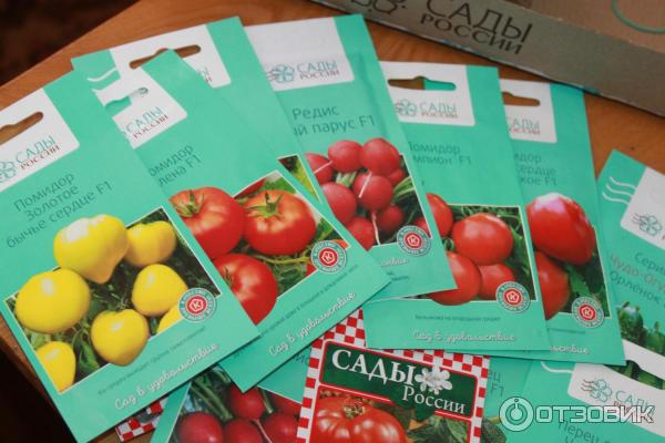Семена заказ сады россии выписать семена овощей почтой